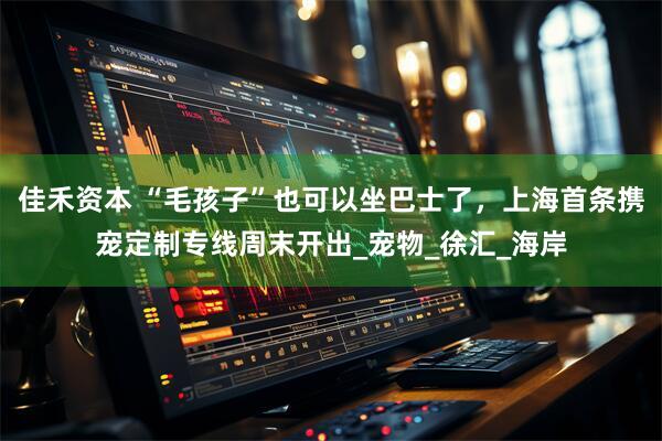 佳禾资本 “毛孩子”也可以坐巴士了，上海首条携宠定制专线周末开出_宠物_徐汇_海岸